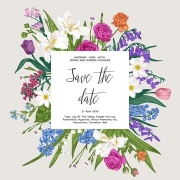 Botanical card. Illustrazione stock