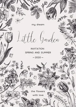 Botanical card. Illustrazione stock