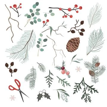 Botanical Christmas elements for making Xmas wreath or other home decor. Winter Illustrazione stock