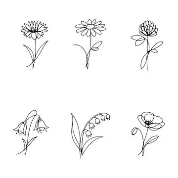 Botanical continuous line flowers set Stock Illustration