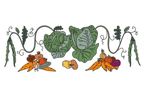 Botanical decorative different vegetables horizontal border pattern isolate.. イラスト素材