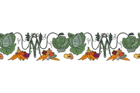 Botanical decorative different vegetables horizontal seamless pattern borde.. イラスト素材