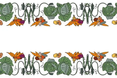 Botanical decorative different vegetables horizontal seamless pattern borde.. イラスト素材