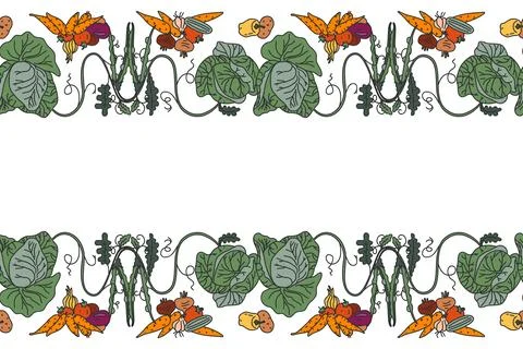 Botanical decorative different vegetables horizontal seamless pattern borde.. イラスト素材