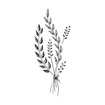 Botanical doodle. Floral elements. A small bouquet of grass, branches and flo Stock Illustration