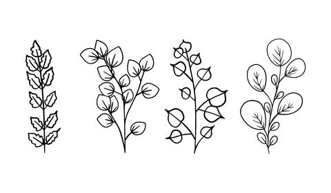Botanical elements - branches with leaves, black outline illustration on whit Stock Illustration