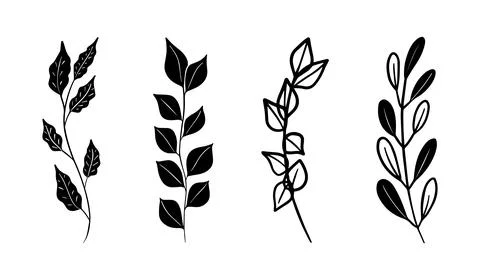 Botanical elements branches with leaves isolated Stock Illustration