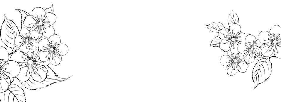 Botanical elements design template. Panoramic simple design with frame flowers イラスト素材