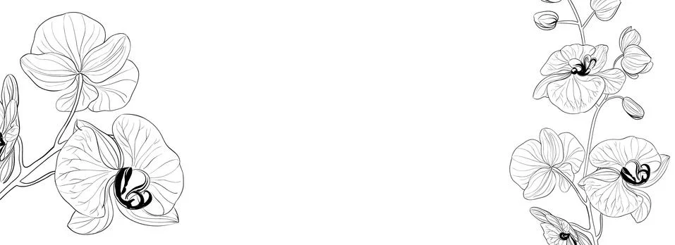 Botanical elements design template. Panoramic simple design with frame flowers Stock Illustration