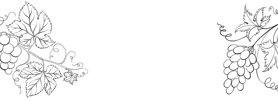 Botanical elements design template. Panoramic simple design with frame flowers イラスト素材