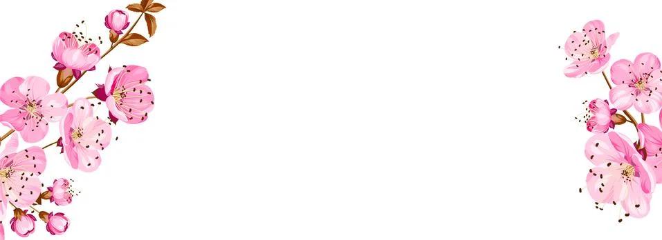 Botanical elements design template. Panoramic simple design with frame flowers Stock Illustration