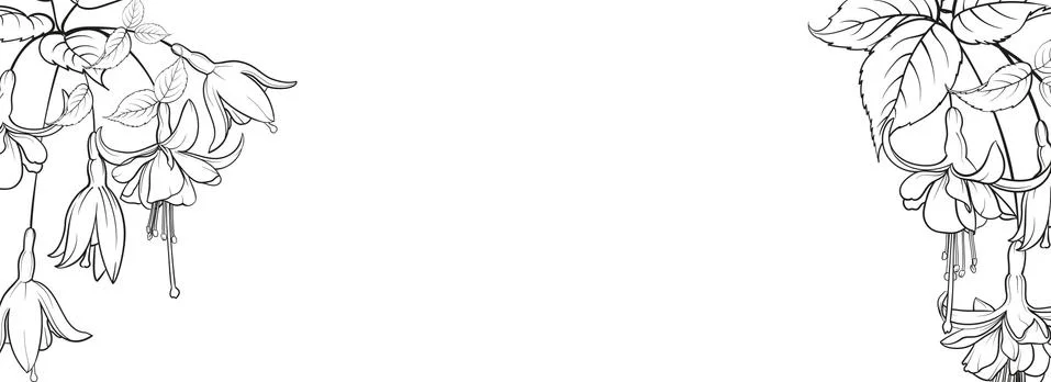 Botanical elements design template. Panoramic simple design with frame flowers イラスト素材