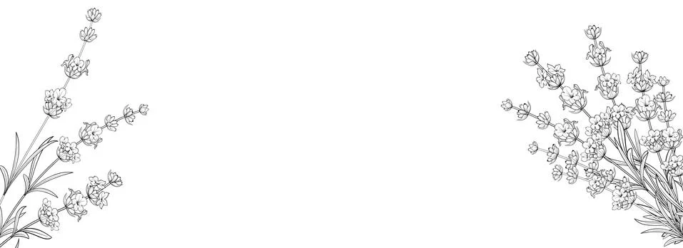 Botanical elements design template. Panoramic simple design with frame flowers Stock Illustration