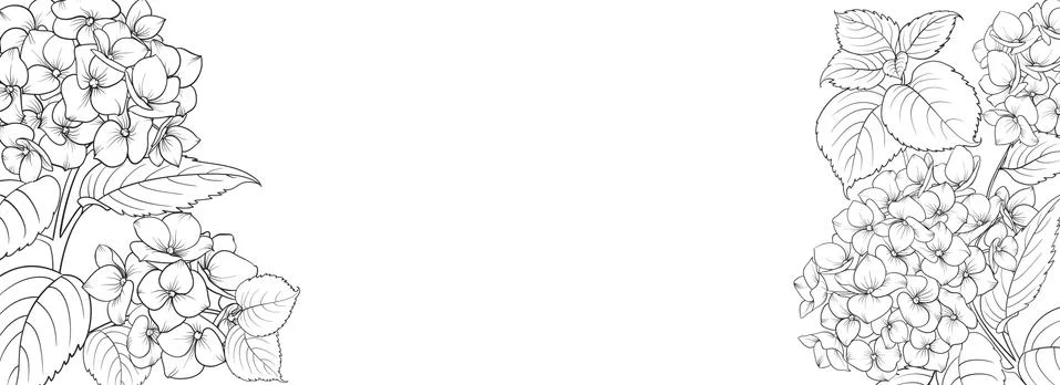 Botanical elements design template. Panoramic simple design with frame flowers Stock Illustration