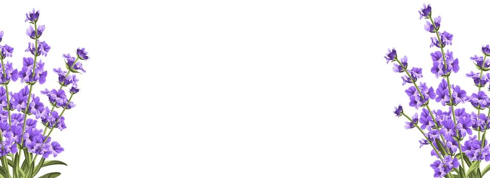 Botanical elements design template. Panoramic simple design with frame flowers 스톡 일러스트