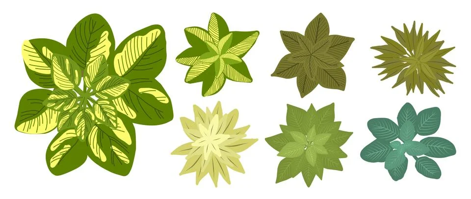 Botanical elements for a landscape plan. Landscaping constructor. Plants top  Stock Illustration