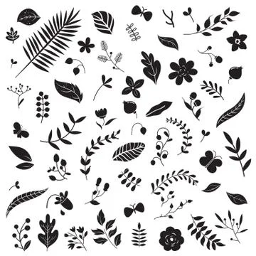 Botanical elements set Ilustração Stock