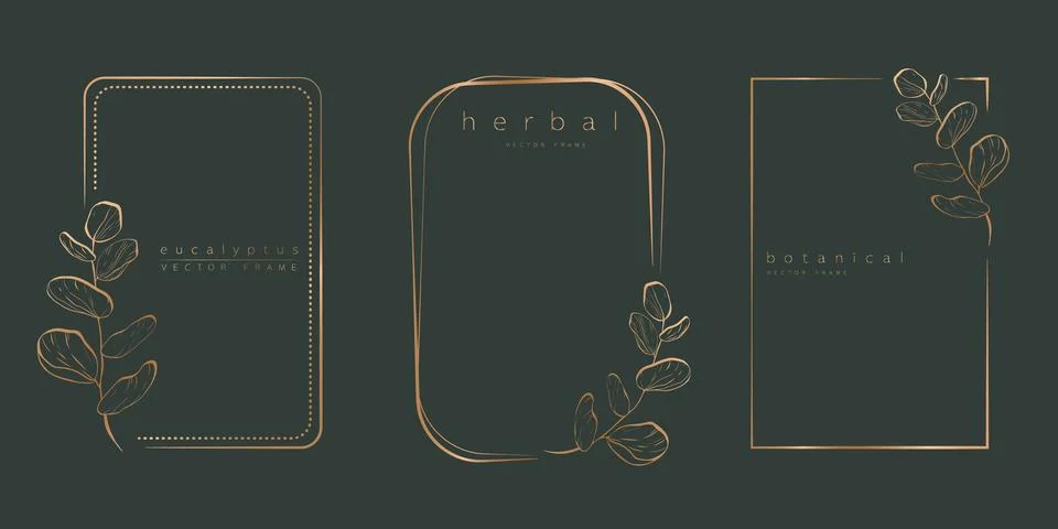 Botanical eucalyptus circle frame set Stock Illustration