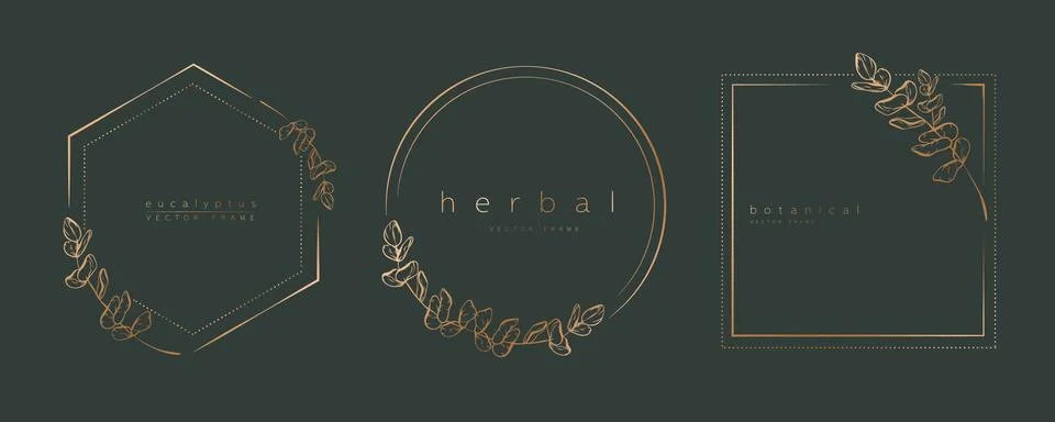 Botanical eucalyptus circle frame set イラスト素材