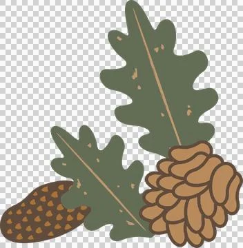 Botanical flat illustration is showing two oak leaves and two pine cones on イラスト素材