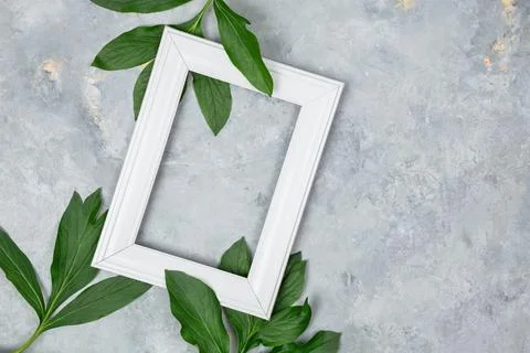 Botanical flat lay mockup with vertical frame Stock Photos