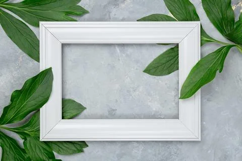 Botanical flat lay mockup with vertical frame Stock Photos