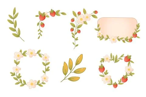 Botanical floral and berry elements set for design Stock Illustration