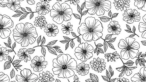Botanical floral pattern, hand-drawn line art flowers and leaves, seamless .. Stock Illustration