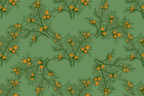 Botanical floral seamless pattern with chamomile flowers vector illustratio.. Stock Illustration