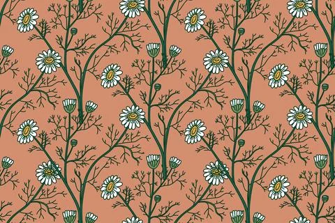 Botanical floral seamless pattern with chamomile flowers vector illustratio.. Stock Illustration