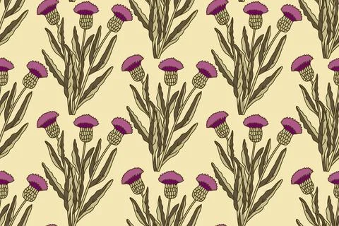 Botanical floral seamless pattern with cornflowers bouquet vector illustrat.. Stock Illustration