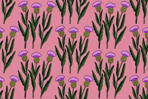 Botanical floral seamless pattern with cornflowers vector illustration. Rep.. Stock Illustration