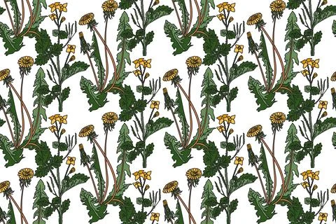 Botanical floral seamless pattern with dandelion and celandine flowers vect.. Stock Illustration