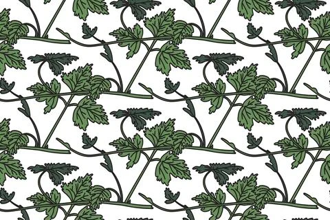 Botanical floral seamless pattern with grapevine vector illustration. Repea.. Stock Illustration