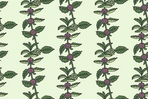 Botanical floral seamless pattern with sprig mint vector illustration. Repeat Stock Illustration