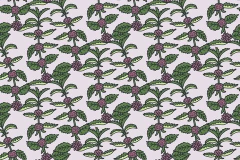 Botanical floral seamless pattern with sprig mint vector illustration. Repeat Stock Illustration