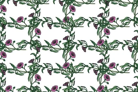 Botanical floral seamless pattern vector illustration. Repeating bindweed p.. Stock Illustration