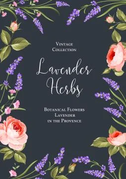 Botanical flowers poster. Stock Illustration