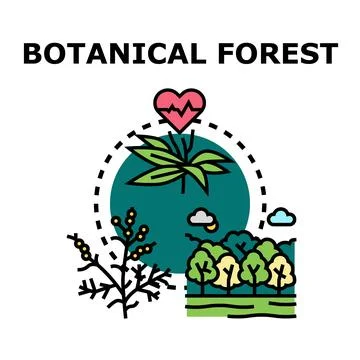 Botanical forest ecosystem and natural plant health Stock Illustration