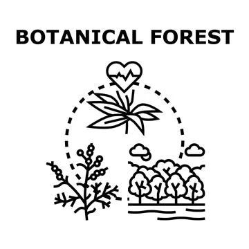 Botanical forest ecosystem and natural plant health Stock Illustration