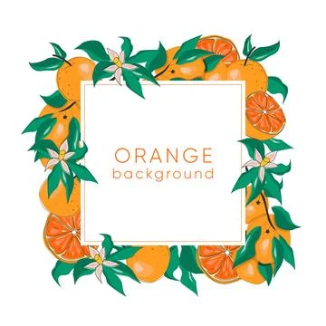 Botanical frame with oranges, branches, leaves and flowers. Card template Illustrazione stock