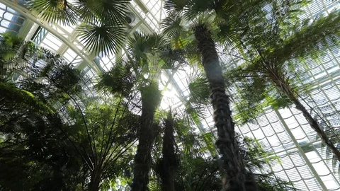 Botanical Garden in Austria Stock Footage 127582170