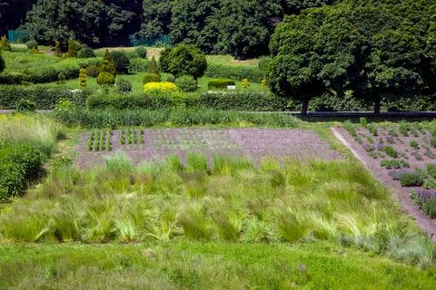 Botanical garden with bushes and trees with vegetable garden. Stock Photos