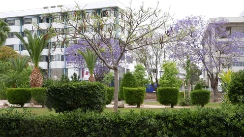 Botanical Garden in Cyprus Stock Footage 70421528