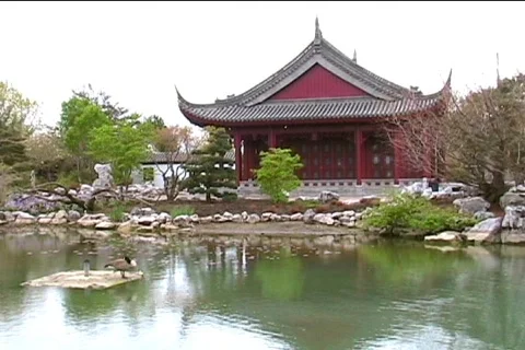Botanical garden. Video stock 399125