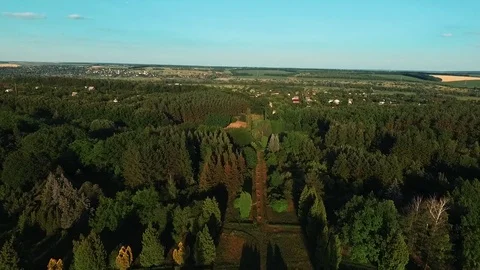 Botanical Garden Stock Footage 84030472