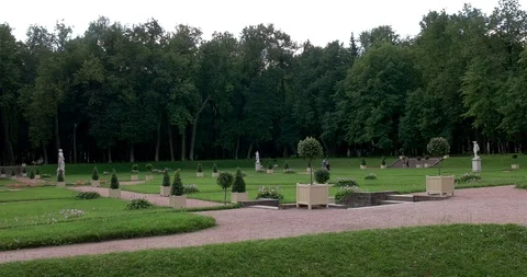 Botanical garden Stock Footage 97067057