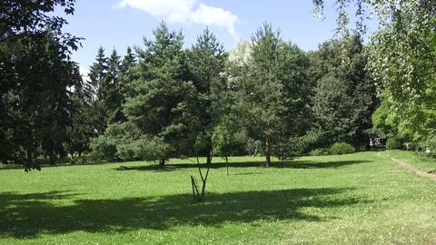 Botanical Garden Vidéo 101189453