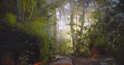 Botanical garden Video stock 161187273