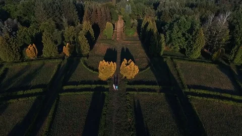 Botanical Garden. Forest. Stock Footage 84030418